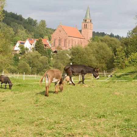 Ferienwohnung Spreter Zimmern ob Rottweil Ngoại thất bức ảnh