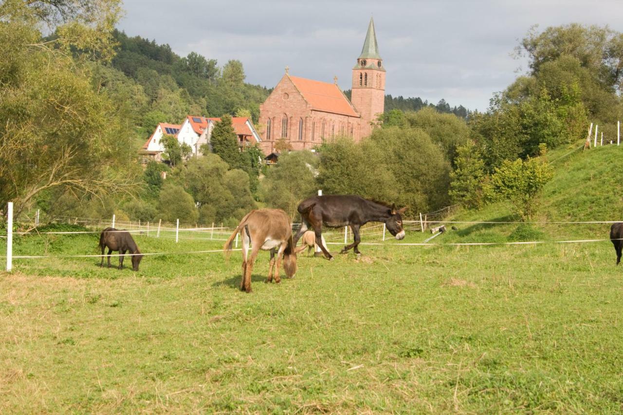 Ferienwohnung Spreter Zimmern ob Rottweil Ngoại thất bức ảnh